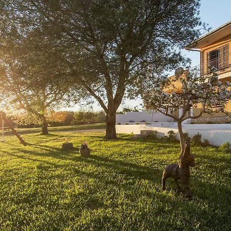 Living With Nature Διαμέρισμα Πούλα